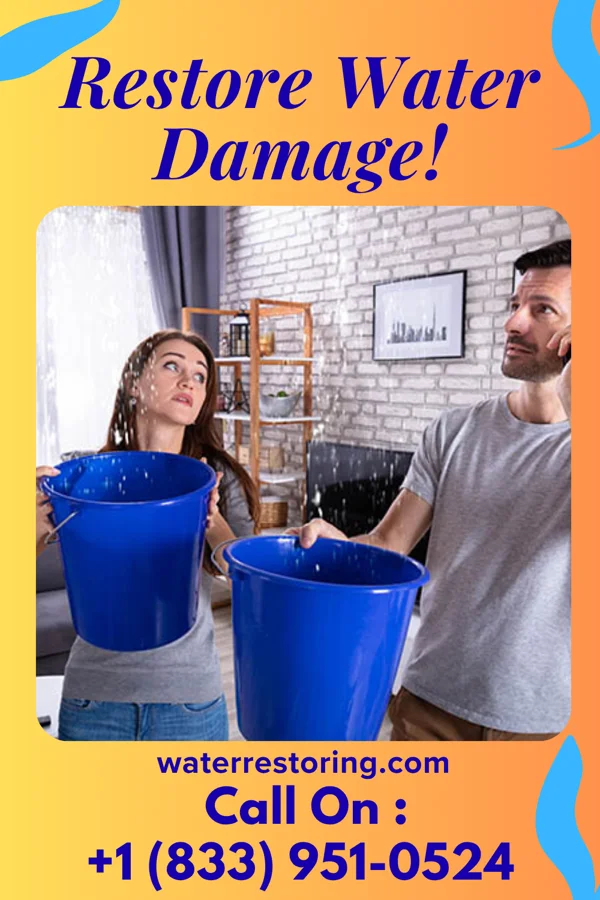 water restoration Extraction Experts Kansas